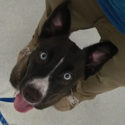 Beba % Off thumbnail 3