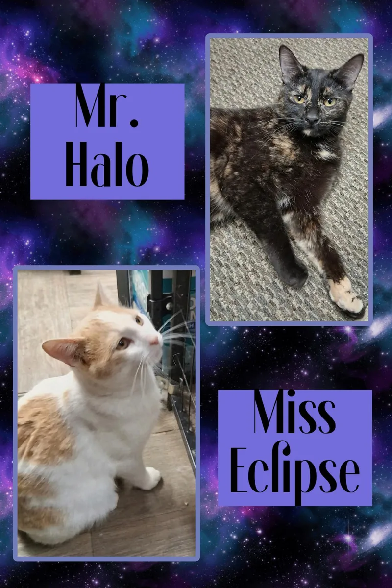 Halo & Eclipse