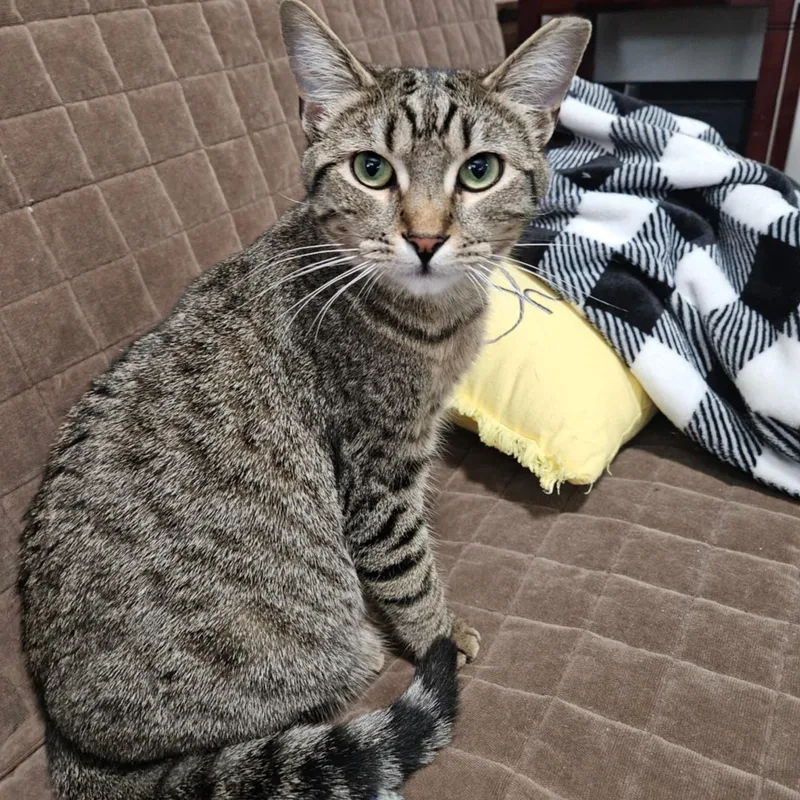 Little T And Jennifer thumbnail 2