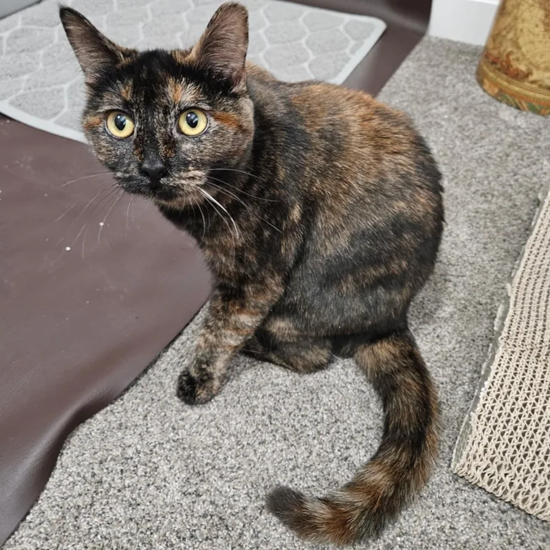 Little T And Jennifer thumbnail 3