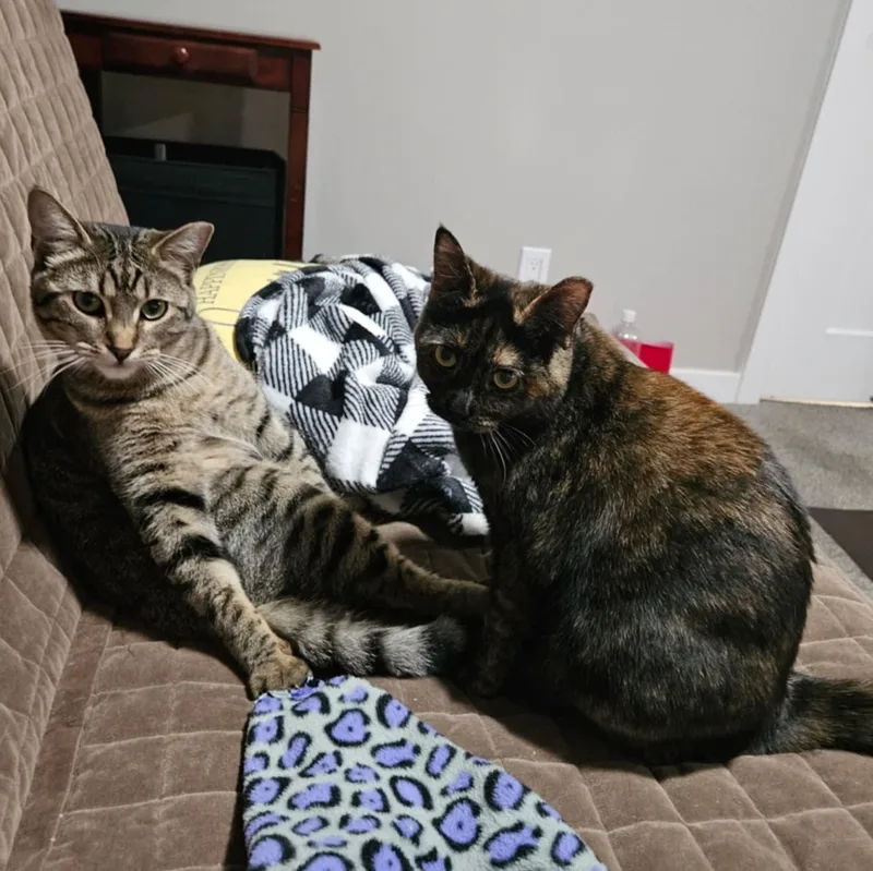 Little T And Jennifer thumbnail 5