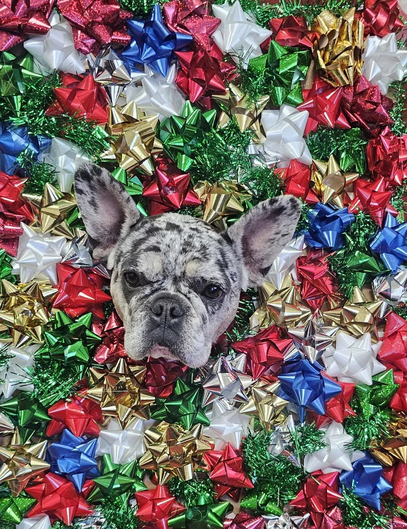 Pepper Fh thumbnail 2