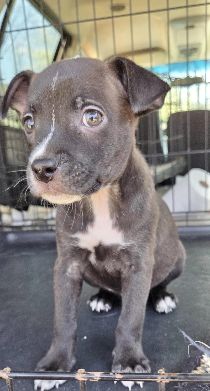 Sprocket thumbnail 2