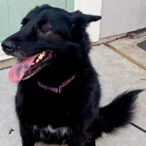 Isha Loyallassie thumbnail 2