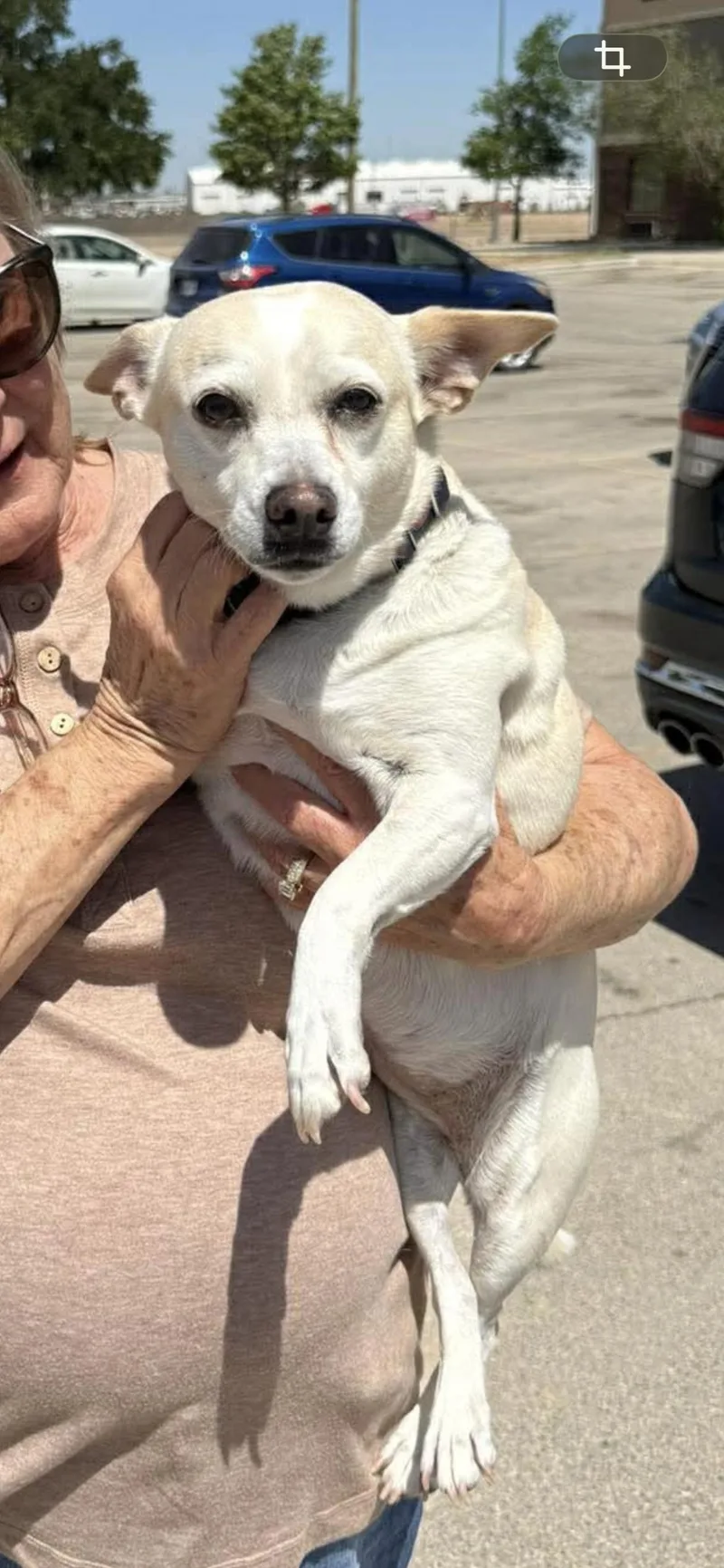 Porkchop thumbnail 2