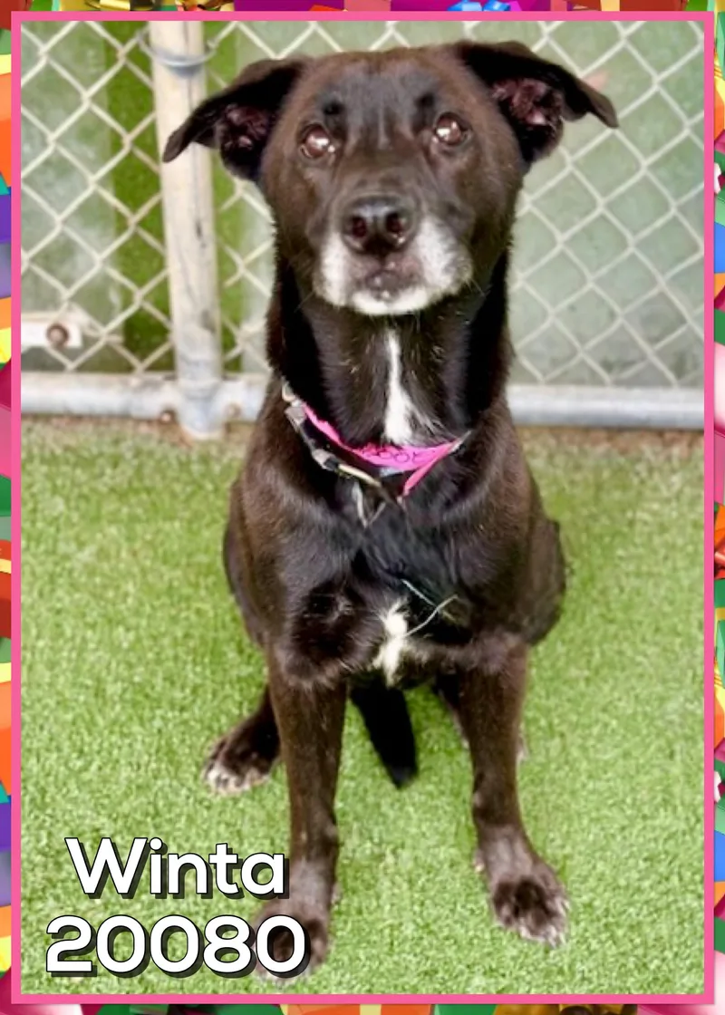 Winta thumbnail 2