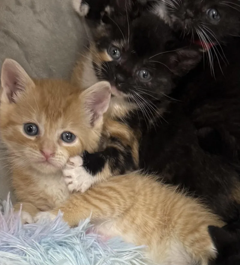 Rusty & Madison thumbnail 2