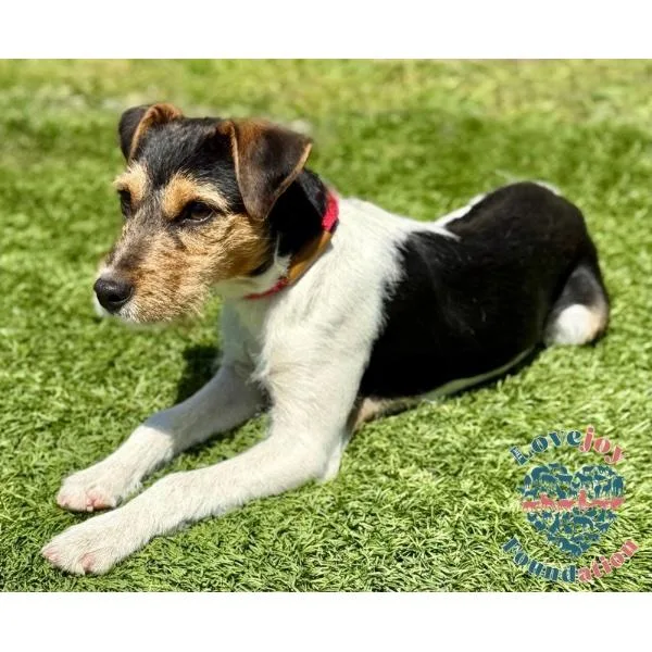 Jack Coh thumbnail 2