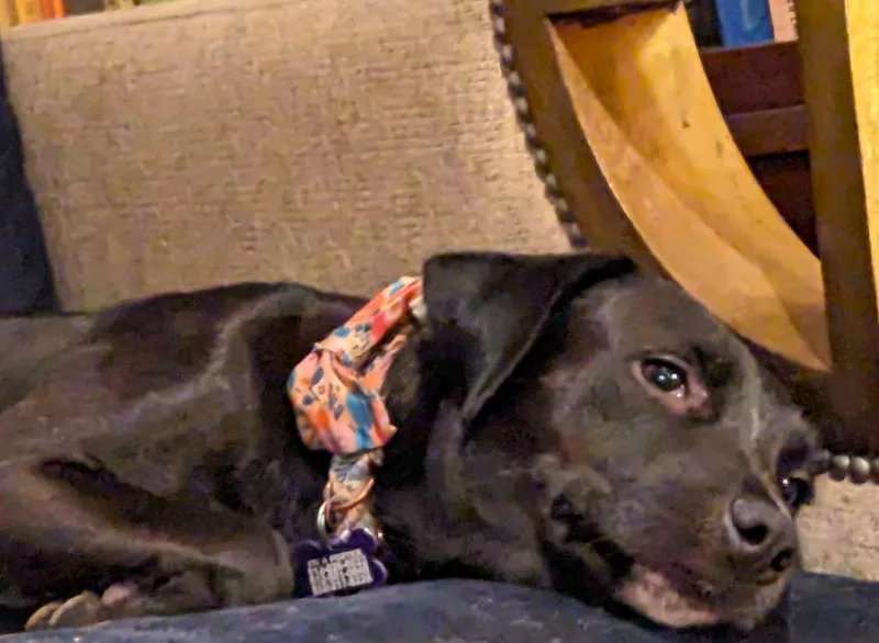 Momma Carly thumbnail 3