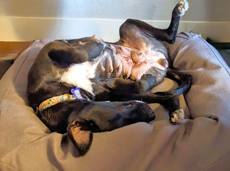 Momma Carly thumbnail 4