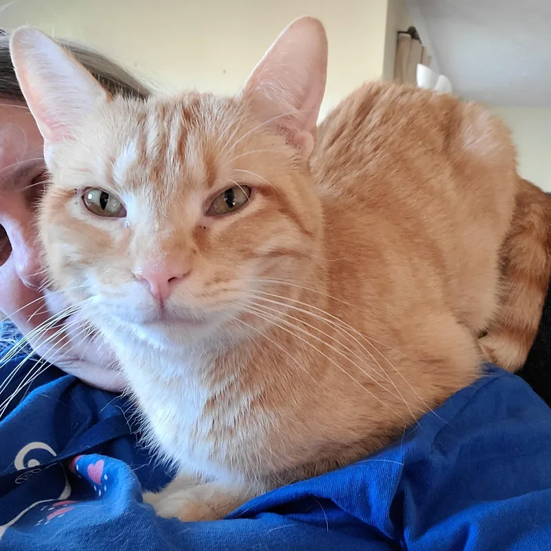 Macgyver thumbnail 4