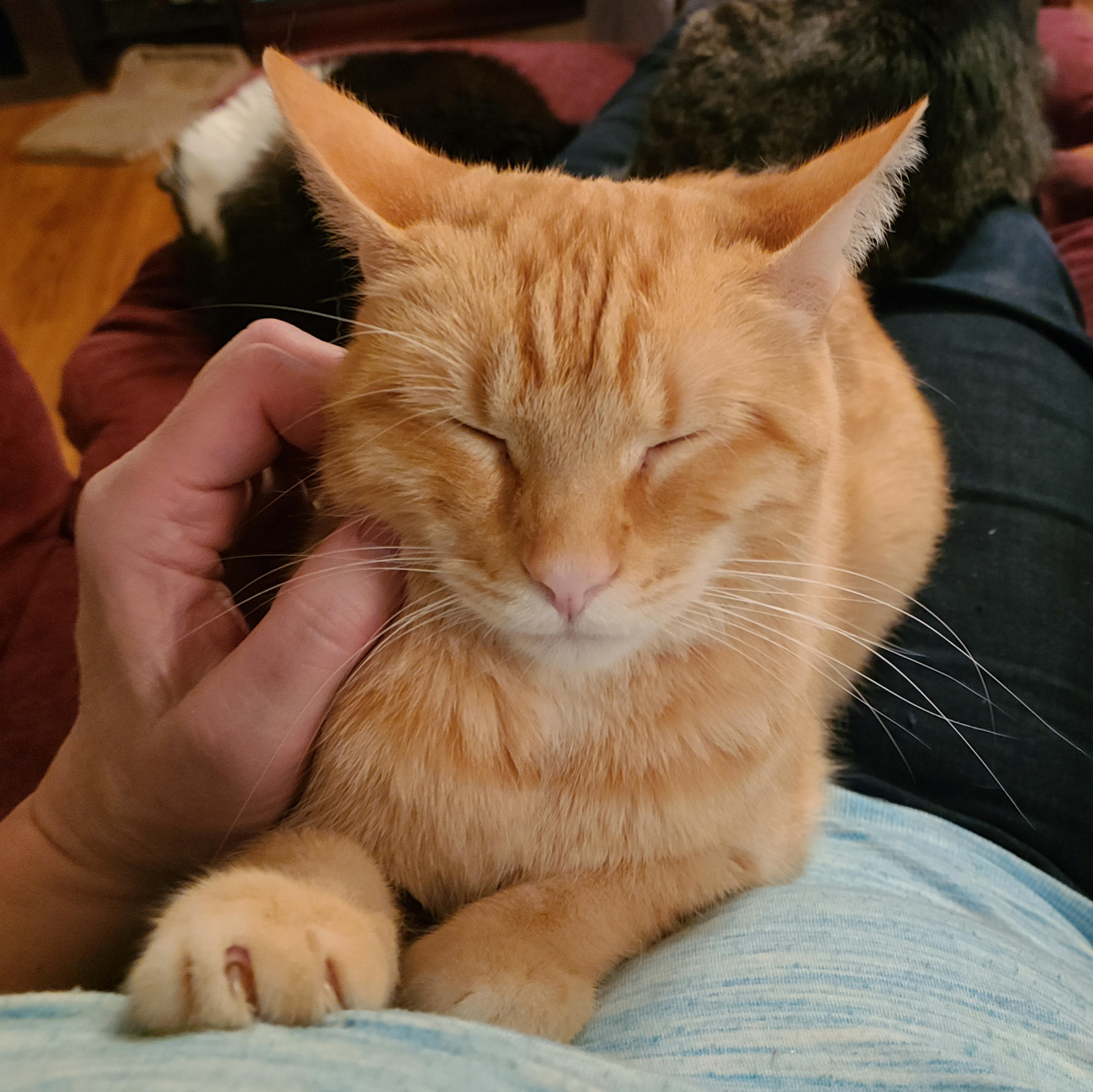 Macgyver thumbnail 6