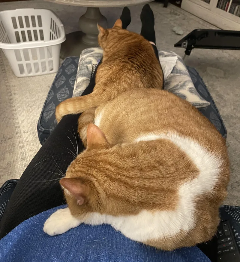 Leo& Ginger thumbnail 2