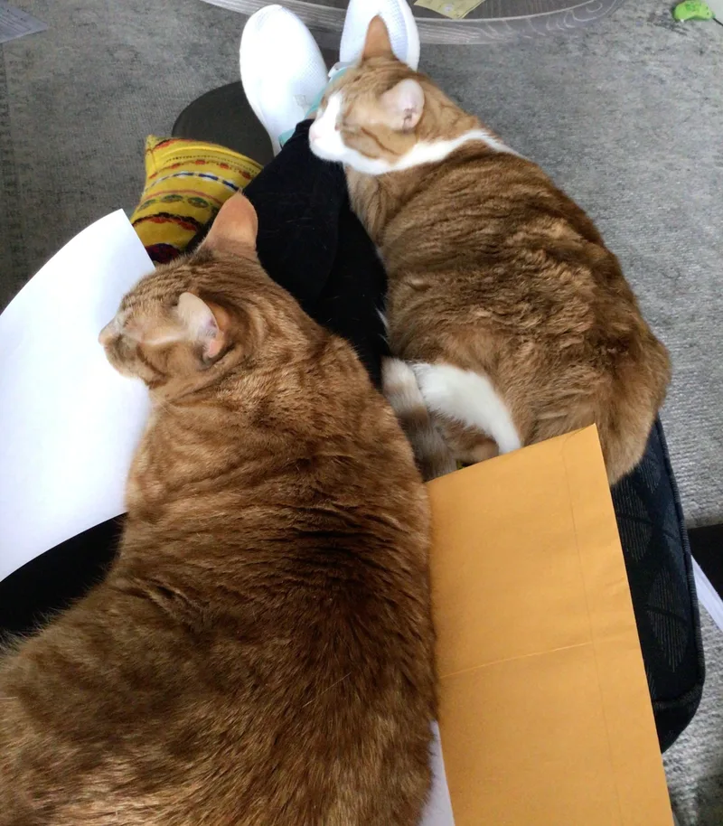 Leo& Ginger thumbnail 3