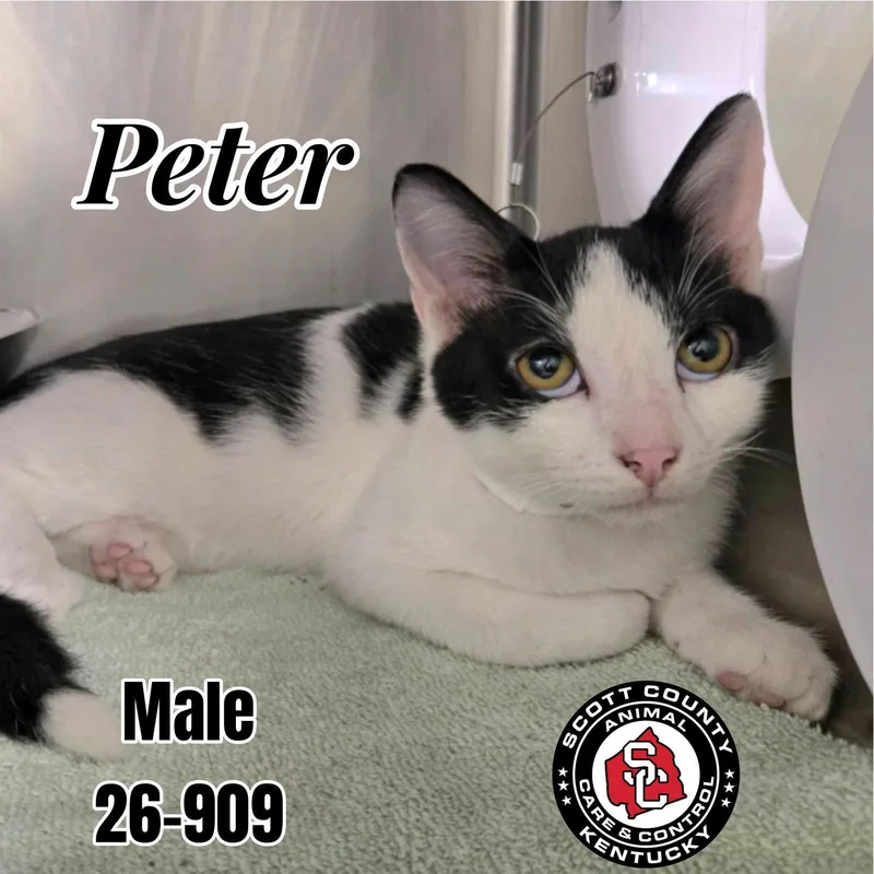 Peter
