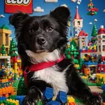Charlie Chico thumbnail 3
