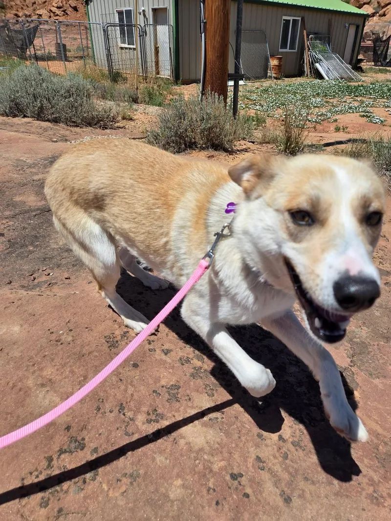 Aspen thumbnail 2