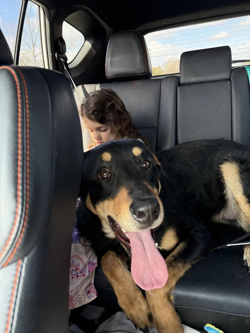 Smokey Aka Breakfast thumbnail 2