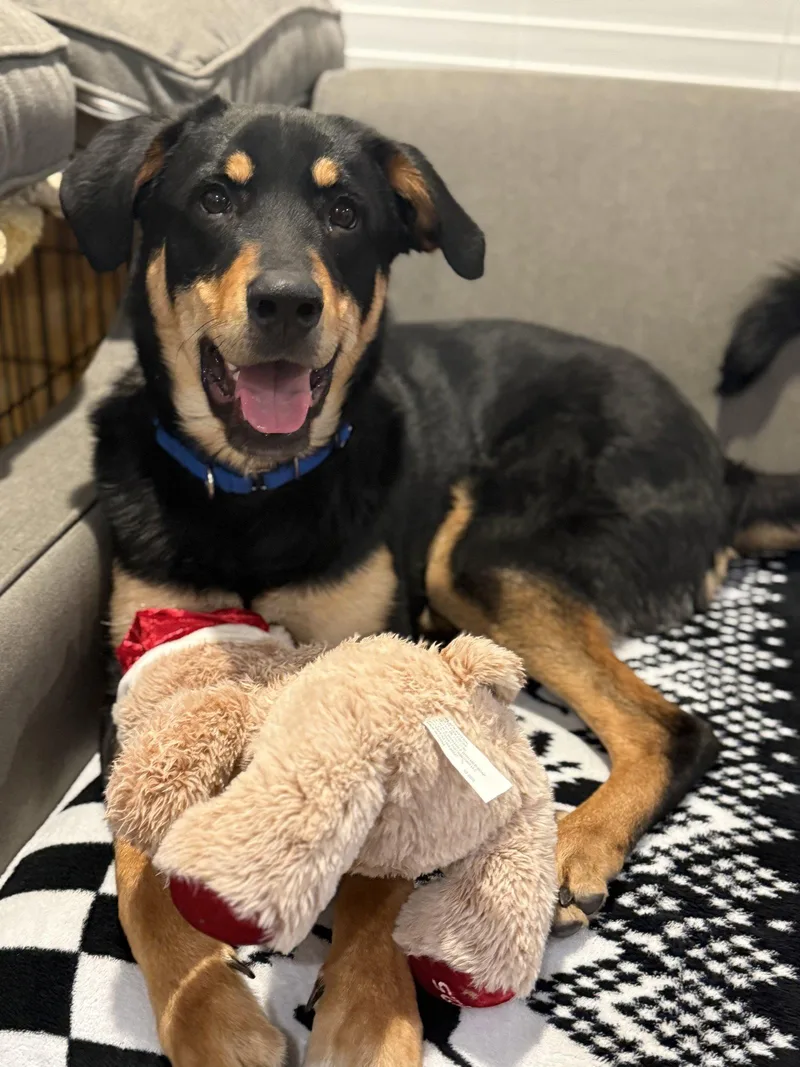 Smokey Aka Breakfast thumbnail 3