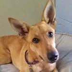 Surprise thumbnail 2