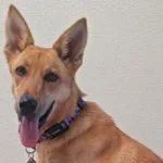 Surprise thumbnail 3