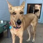 Surprise thumbnail 4