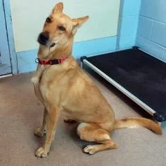 Surprise thumbnail 5