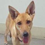 Surprise thumbnail 6