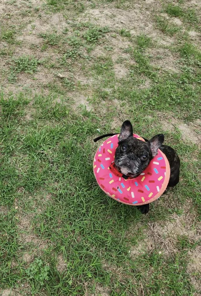 Twinkle Mae