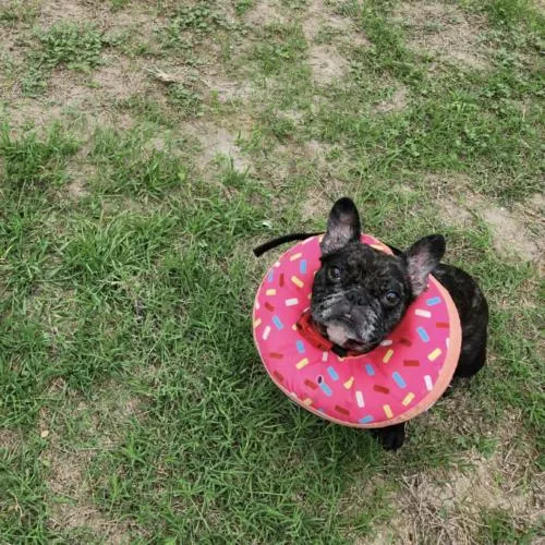 Twinkle Mae thumbnail 2