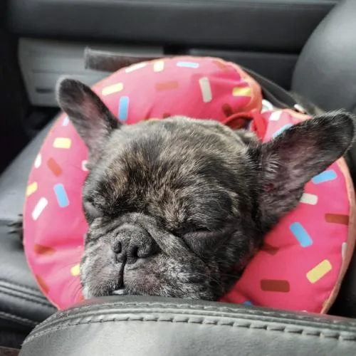 Twinkle Mae thumbnail 3