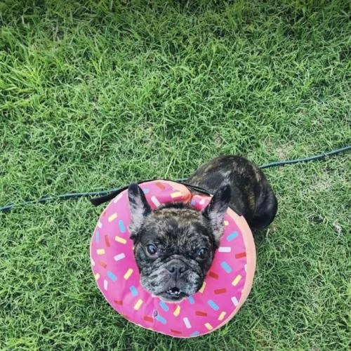 Twinkle Mae thumbnail 5