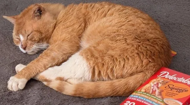 Robert Redfurred thumbnail 3