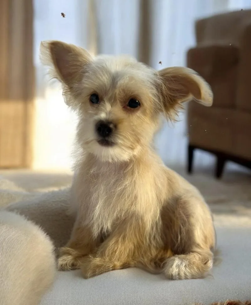 Mr Snuggles thumbnail 2