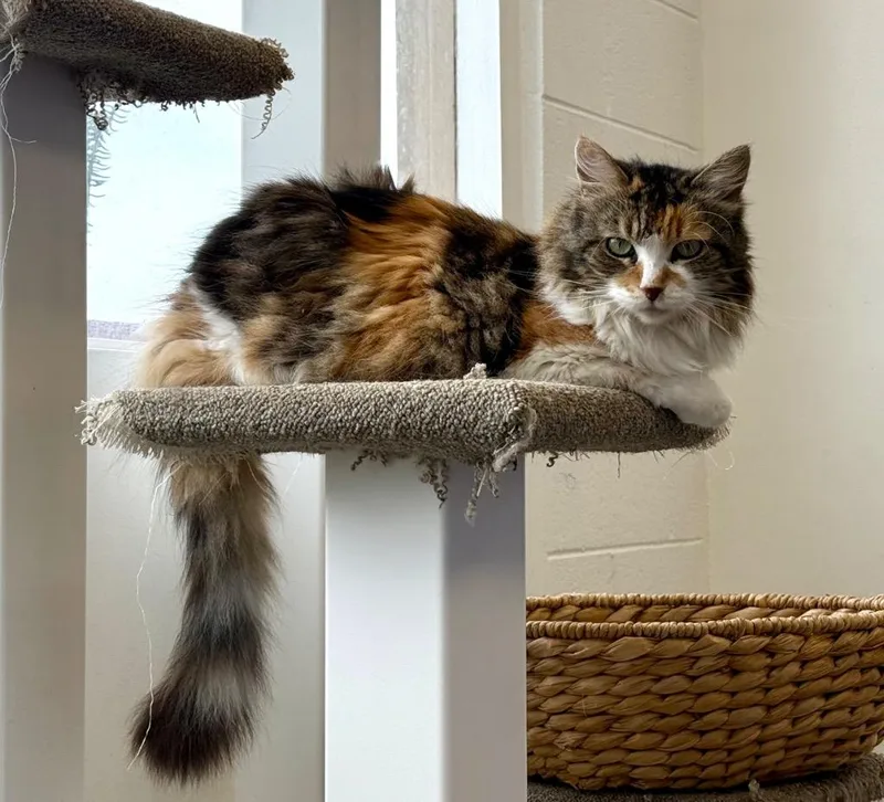 Nicholle thumbnail 2