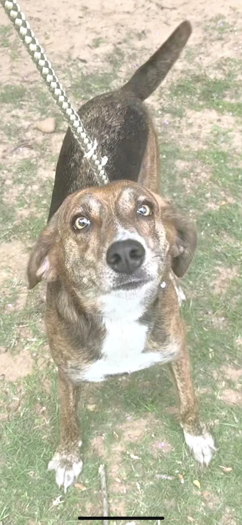 Penny thumbnail 2