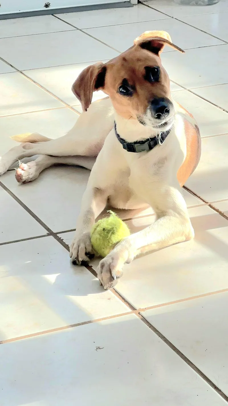 Sheklana "let's Love Today." thumbnail 2