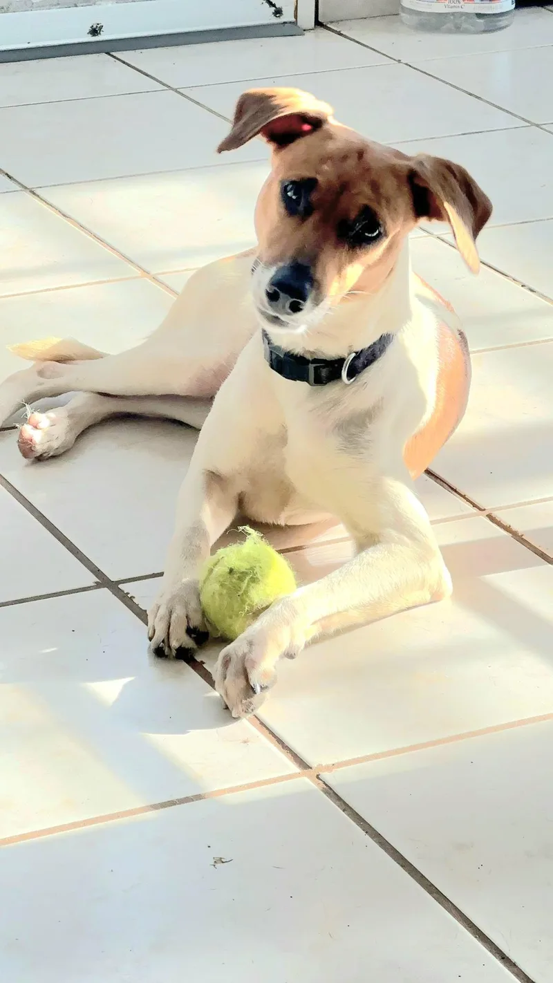 Sheklana "let's Love Today." thumbnail 3