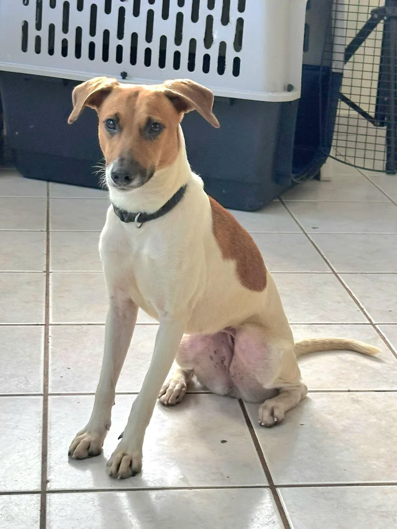 Sheklana "let's Love Today." thumbnail 4