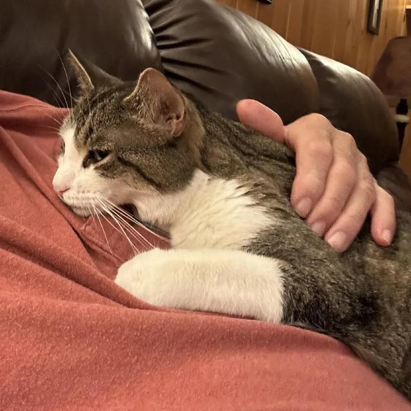 Gigi thumbnail 2