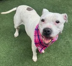 Millie Jean thumbnail 2