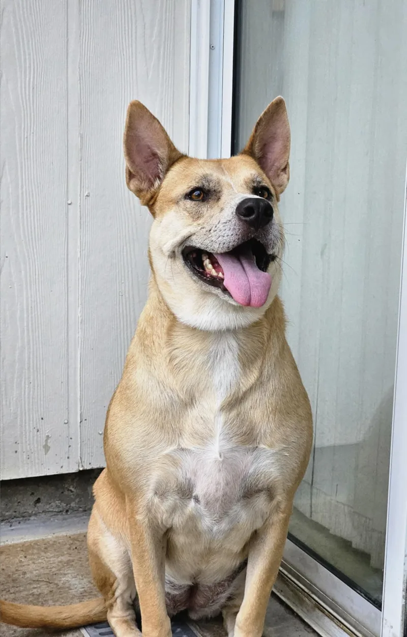 Miss Josey Joe  thumbnail 2