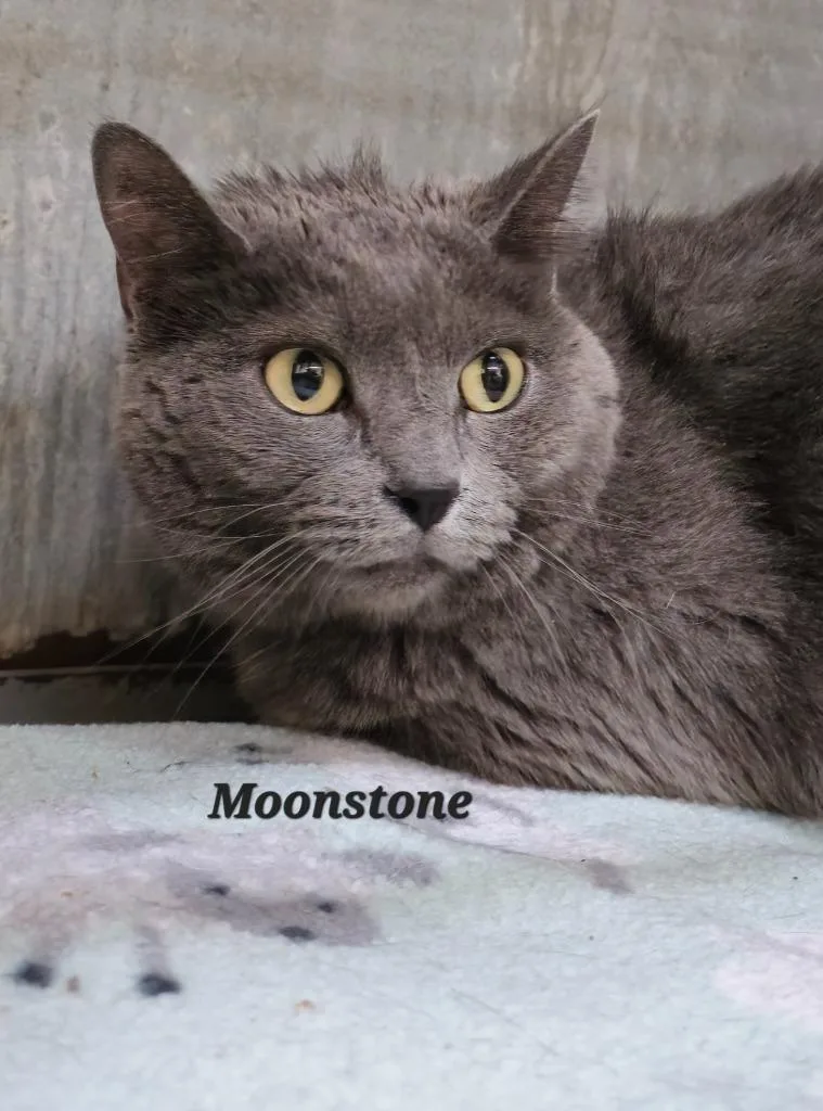Moonstone