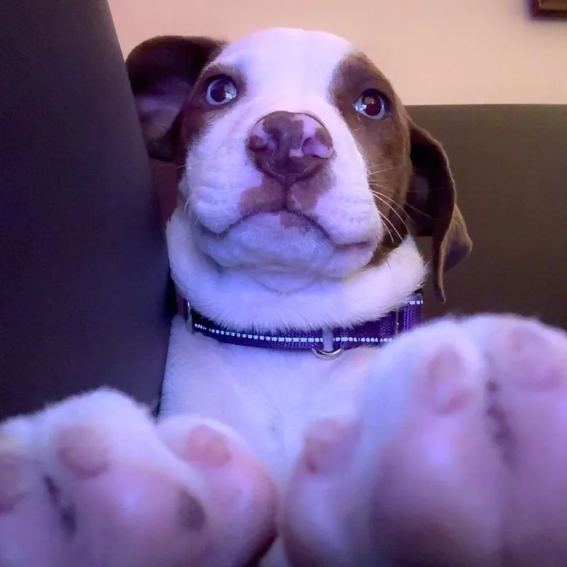 Sleepy thumbnail 3