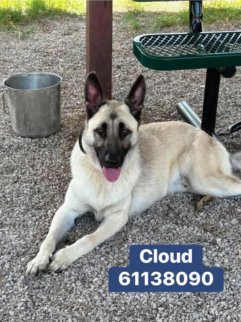 Cloud thumbnail 4