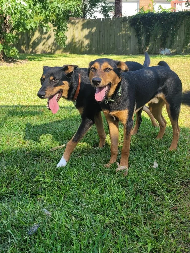 Einstein thumbnail 2