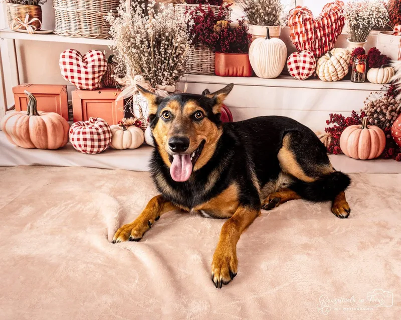 Einstein thumbnail 3