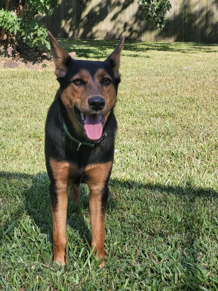 Einstein thumbnail 4