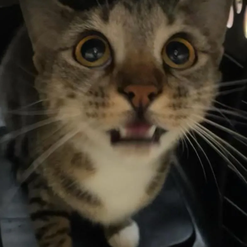 Little Peanut