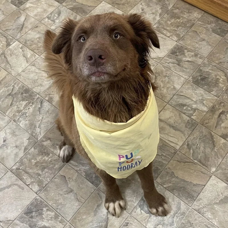 Cutie Pie thumbnail 2